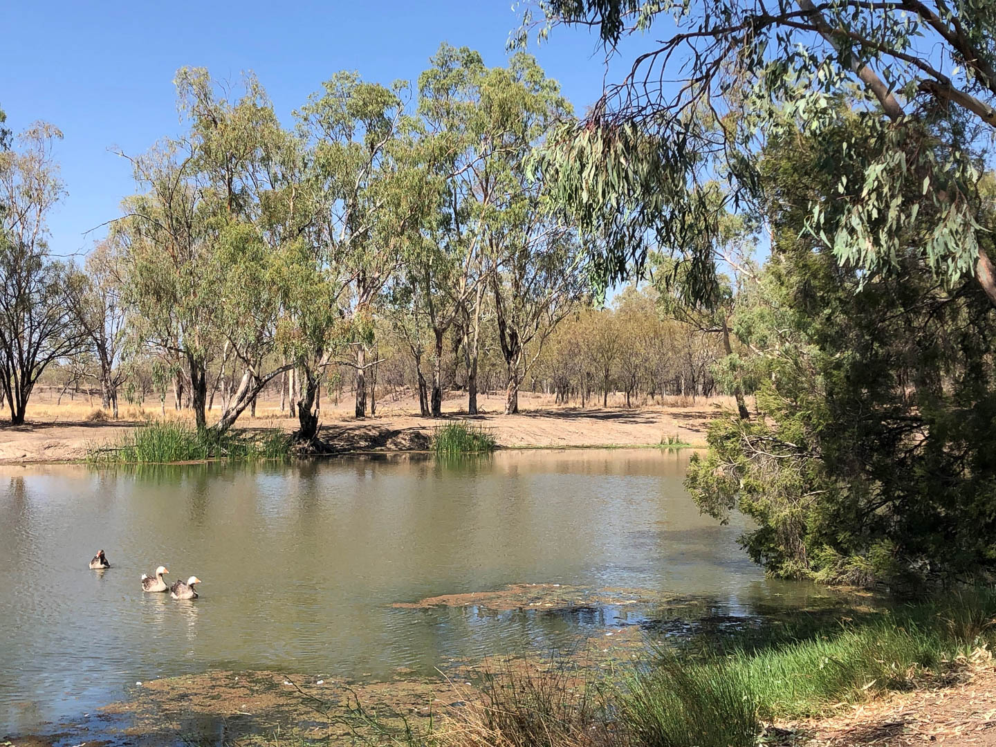 Mungindi - Explore St George Region